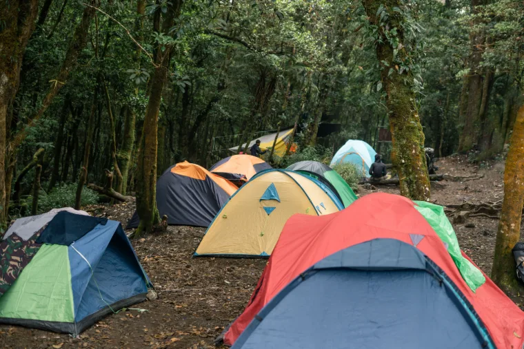 Tents pitched at a youth ministry camp in the woods
